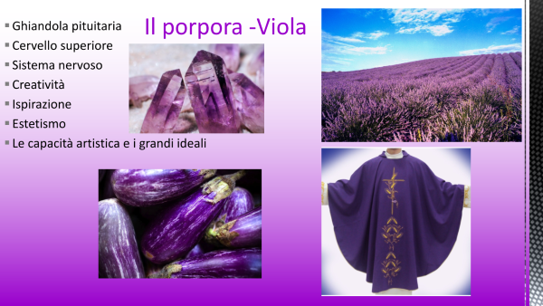 viola sabbia1